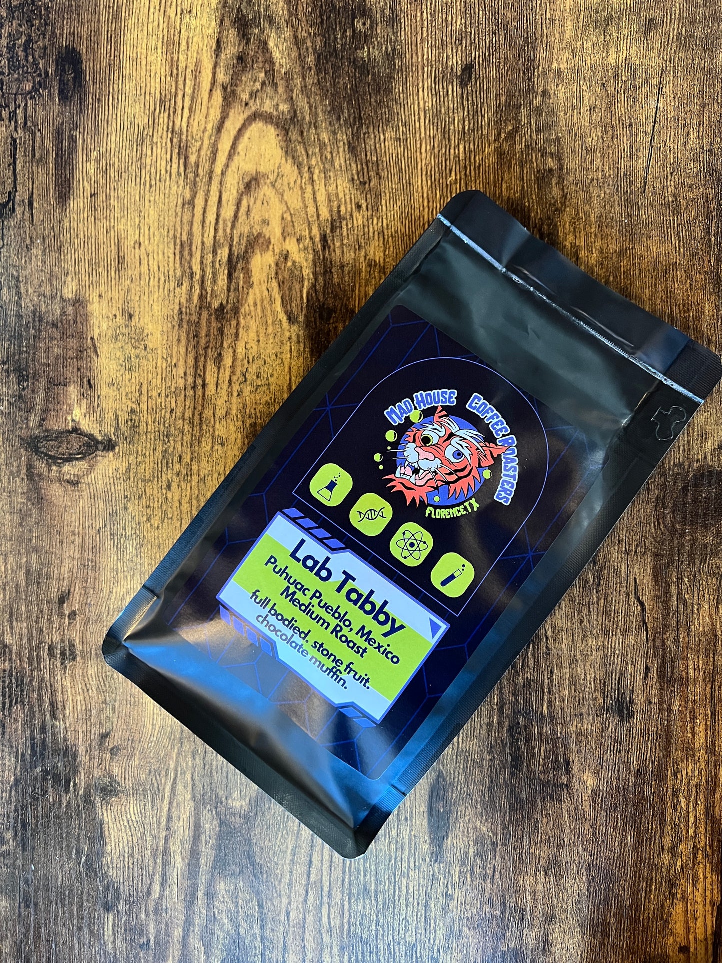 Lab Tabby- Puhuac Pueblo, Mexico