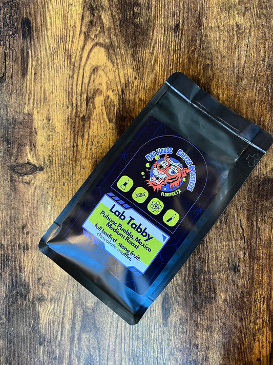 Lab Tabby- Puhuac Pueblo, Mexico